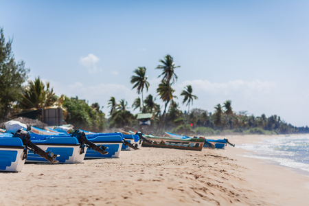 The group of motor boats of rescuers has a rest on the sandy ocean coast against the background of palm trees.の写真素材