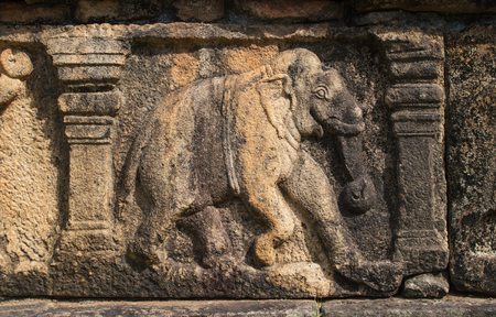 The bas-relief representing the going elephant on a wall of the ancient capital of Sri Lanka - Polonnaruwaの写真素材