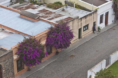 View from the lighthouse Colonia del Sacramento - May, 21, 2012の写真素材