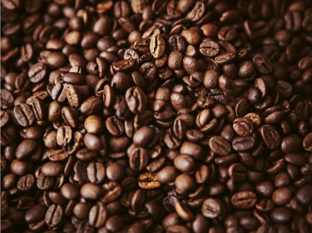 Pile of coffee beans backgroundの写真素材