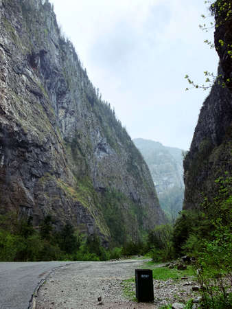 The top of the mountain among the treesの写真素材