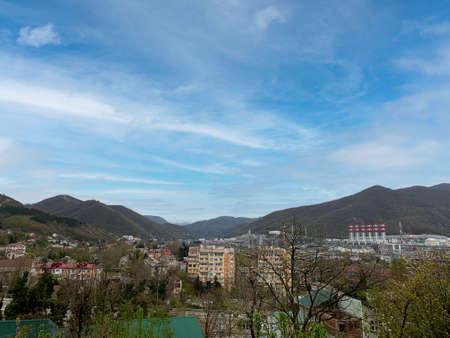 Black tea with lemon and cookies on a green tableclothの写真素材