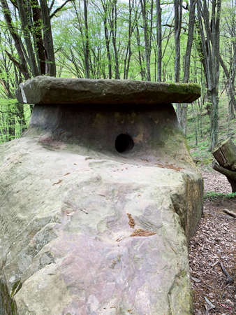 Stone dolmen in green forest, ancient burial and religious buildings, megalithsの写真素材