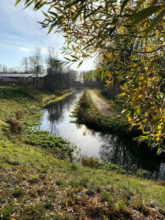 River in a green park in sunny weatherの写真素材