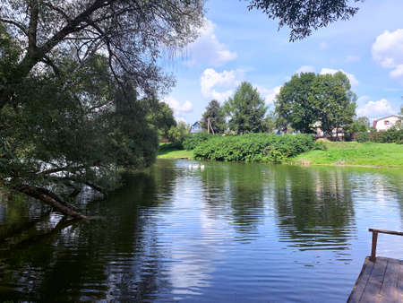 Geese swim on the village pondの写真素材