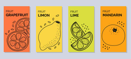 Four bright isolated banners with citrus fruits - mandarin, grapefruit, lime, mandarin, orangeのイラスト素材