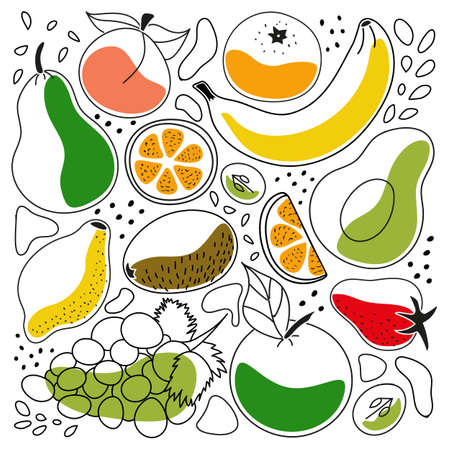 Doodles contour set of illustrations of fruits and berries - apple, peach, pear, avocado, citrus, orange, strawberry, banana, grape, kiwi, lemon, tangerineのイラスト素材
