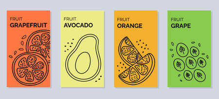 Four banners with contour vector illustrations of fruits - grapefruit, avocado, orange, grapesのイラスト素材