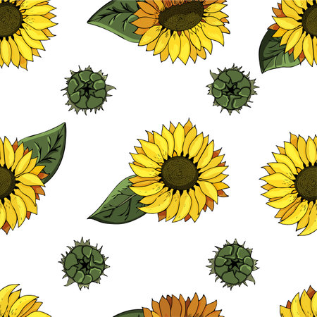 Seamless vector pattern with yellow sunflowers. Beautiful pattern for your design, greeting cards, wedding announcements, paperの写真素材