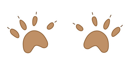 Illustration of Bear Paw Footprints. Brown prints from the paws of the beast. Cast of Animal Feet. Fingers and claws. Leave a trace. isolated object. Vector illustration.のイラスト素材