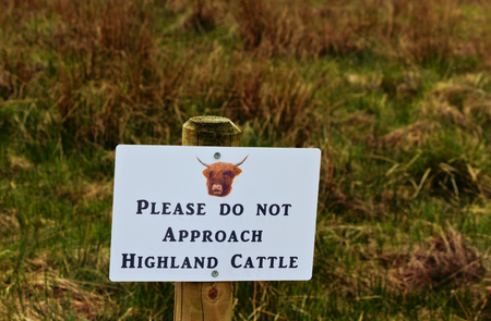 This photo has been taken on a meadow near Kilchurn Castle. It shows a a warning, to do not approach the Highland cattle.のeditorial素材