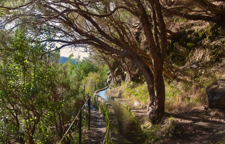 the Levadas on Madeira are important for the transport of drinking water - this one winds around a...
