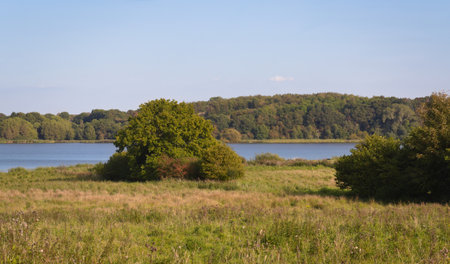 The surroundings of the historic viking town of Haithabu near the town of Schleswig in Germany's northern area.の写真素材