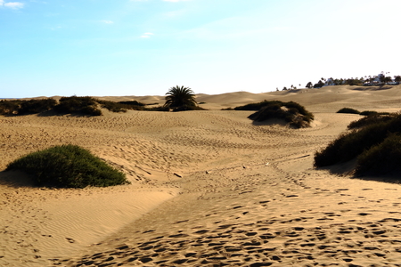 The Sandy dunes in famous natural Maspalomas beach. Gran Canaria. Spainの写真素材