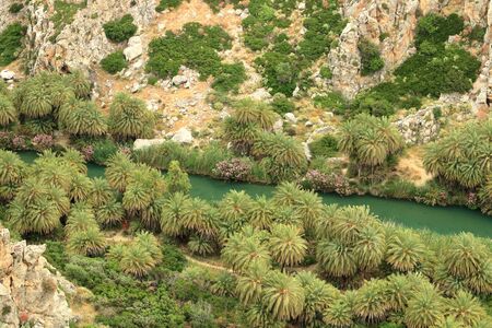 view around River and palm forest at Preveli, southern Crete in Greeceの写真素材
