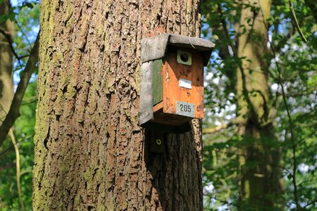 birdhouse in the autumn forest near Dresden