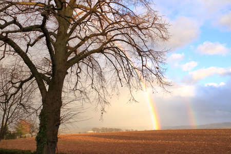 Rainbow over stormy sky. Rural landscape with rainbow over a dark stormy sky in a countrysideの写真素材