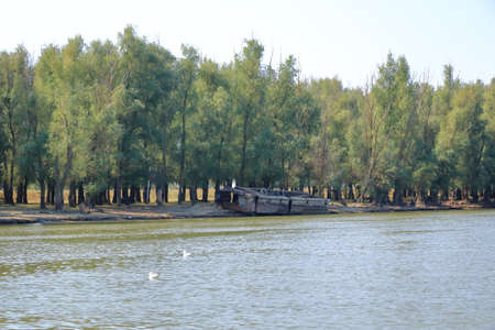 Abandoned Shipwreck the Danube Delta in Romaniaの写真素材