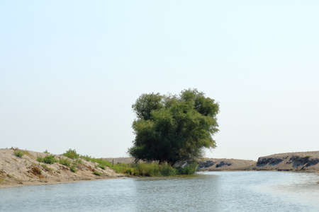small river channel in the Danube Deltaの写真素材