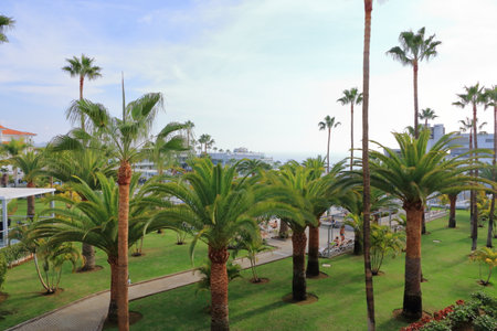 November 20 2021 - Costa Adeje, Tenerife, Spain: Tourist resorts at altlantic seaのeditorial素材