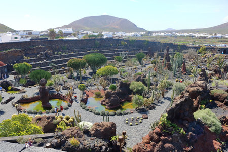 March 05 2018 - Lanzarote in Spain: People enjoy the Cactus garden - popular attraction in Lanzarote, Canary islandsのeditorial素材