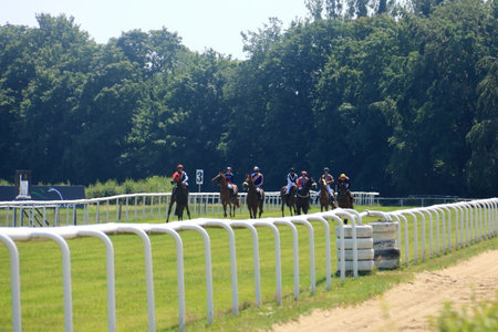 June 16 2018 - Galopprennbahn in Dresden Seidnitz, Germany: Preparation for the Start of a Horse raceのeditorial素材