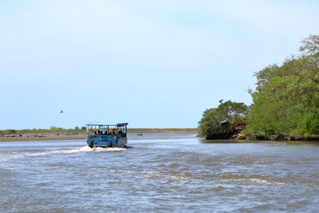 March 6 2023 - Tarcoles in Costa Rica: People enjoy a wildlife Excursion by boat on Rio Tarcolesのeditorial素材