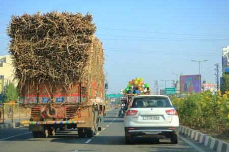 December 18 2022 - Karnataka in India: truck heavily overloaded with sugar cane is going to the...