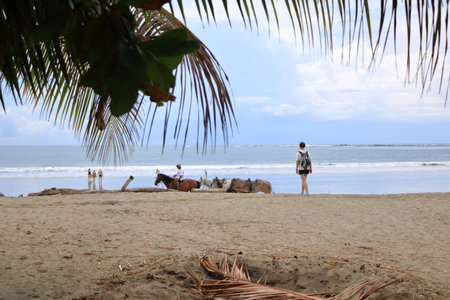 March 14 2023 - Samara, Guanacaste in Costa Rica: Horseback Riding in Costa Rica at the beachのeditorial素材