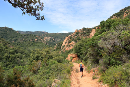 the mountainous hiking area around cardedu in sardiniaの写真素材