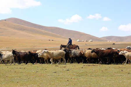 August 23 2023 - Song kol lake in Kyrgyzstan: nomad people live their ordinary life on the summer pastureのeditorial素材
