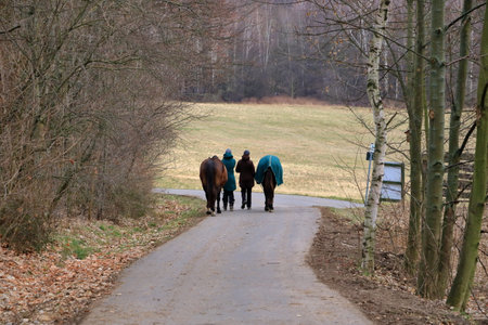 a Portrait of women walking while talking with their two horsesの写真素材