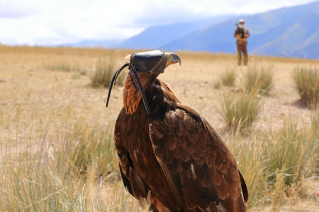 an Eagle of Kyrgyz Eagle Hunters