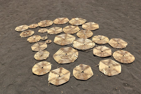 dried pandan leaves for making pandan mat, still traditionally made by hand in Bali in Indonesiaの写真素材
