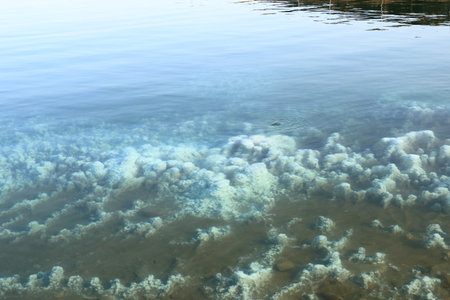Dead Sea salt mineral natural formation crystals in the water, Jordan