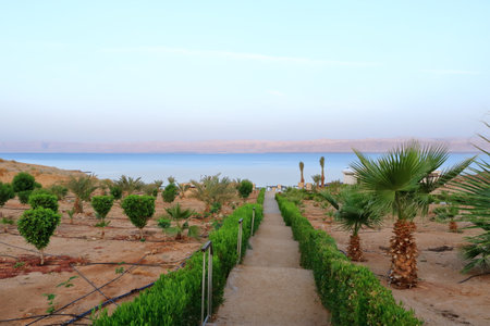 footpath to the beach of the dead sea in Sweimeh, Swemeh in Jordan