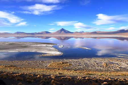 Aerial view of Laguna Colorada with flamingos and mountain reflections in Boliviaの写真素材
