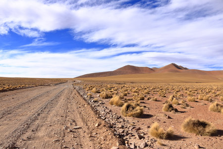 the landscape on a road trip from Uyuni to the south of Boliviaの写真素材