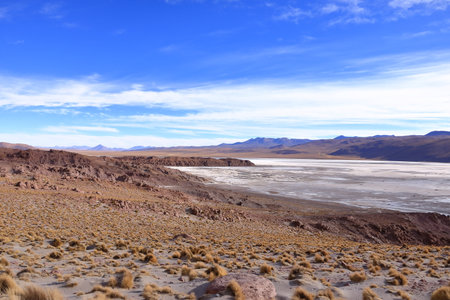 Bolivia, southwest of the Altiplano, Potosi Department. Laguna Capina, salt lake known for the extraction of boraxの写真素材
