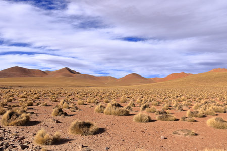 the landscape on a road trip from Uyuni to the south of Boliviaの写真素材