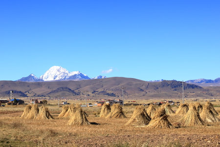 the rural landscape with agriculture in the north of Boliviaの写真素材