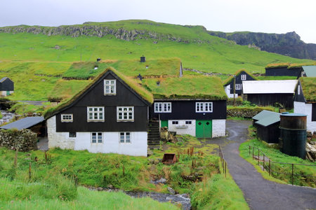 the beautiful village of Mykines with colorful houses with grass on the roofs, Mykines Island, Faroe Islands, Europeの写真素材