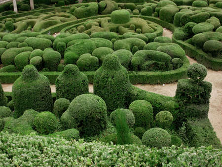 gardenの写真素材