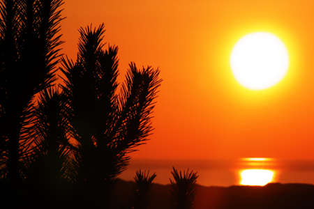 orange sunsetの写真素材