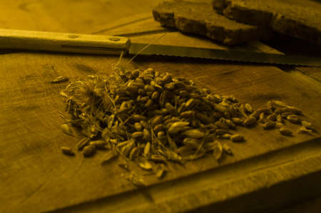 Cereal products, bread cut with a knifeの写真素材