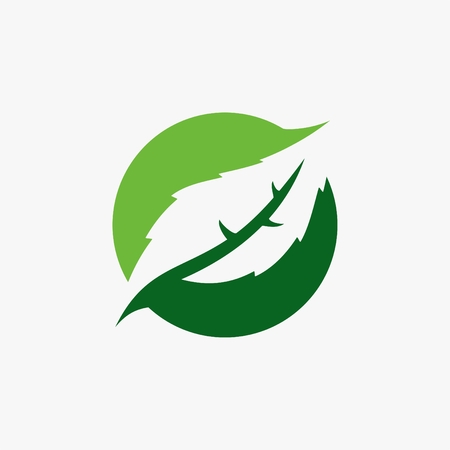 Green leaf logo vector illustration.のイラスト素材