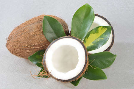 Unsealed coconut with green plant