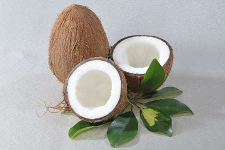 Unsealed coconut with green plantの写真素材
