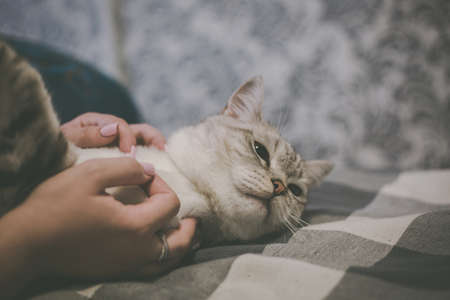Hands of his mistressの写真素材