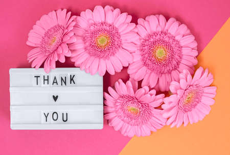 letterboard with letters with quote Thank you and gerbera flowersの写真素材